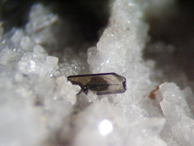BROCKITE ISOLA 2000.