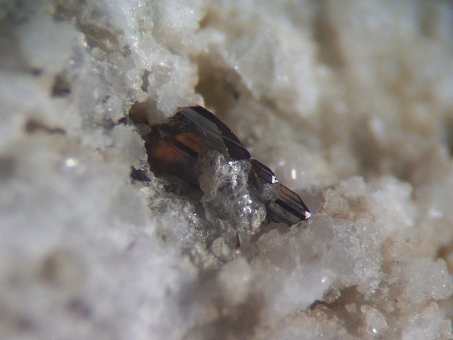 BROCKITE ISOLA 2000.