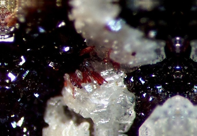 CARMINITE.