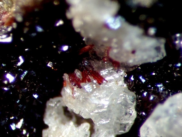 CARMINITE.