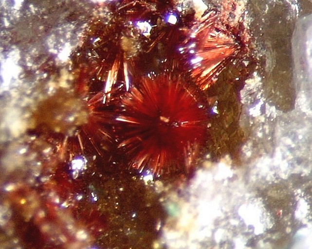 CARMINITE.