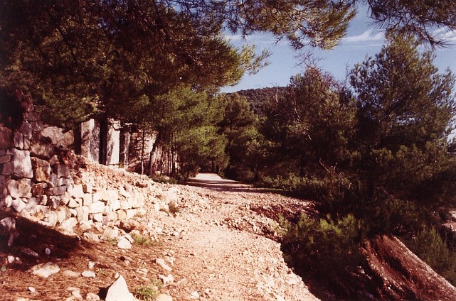 CHEMIN DE LA MINE SUD.