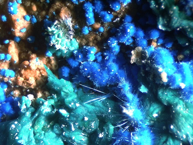 CYANOTRICHITE.