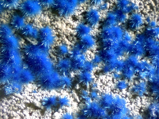 CYANOTRICHITE.