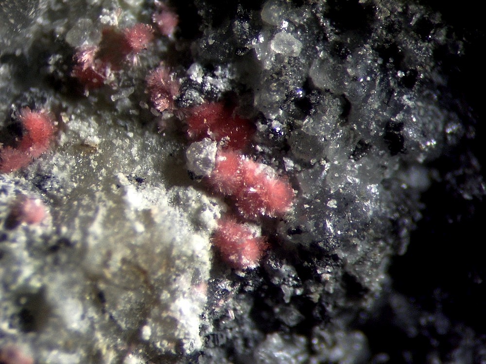 Erytrite 1