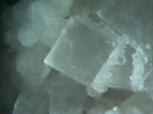 FLUORINE VALLAURY.