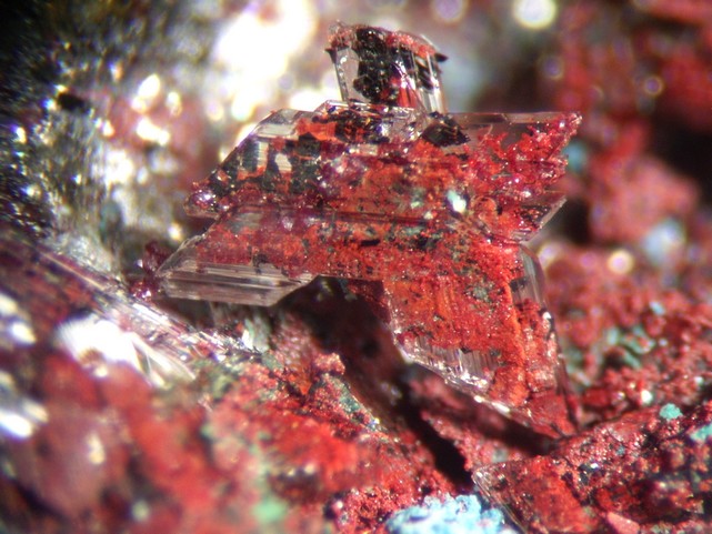 GYPSE AVEC INCLUSIONS CUPRITE SCORIES