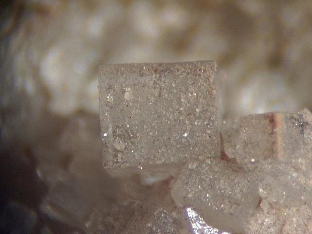 LES TROIS THERMES FLUORINE.