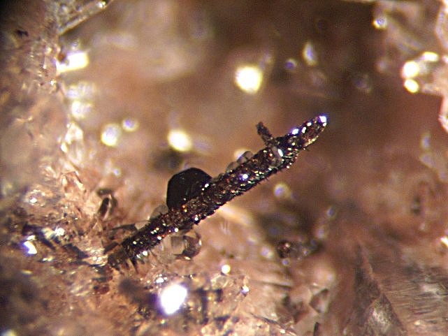 LES TROIS THERMES  QUARTZ RECOUVERT D'HEMATITE.