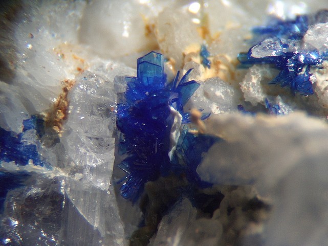LINARITE VALLAURY.