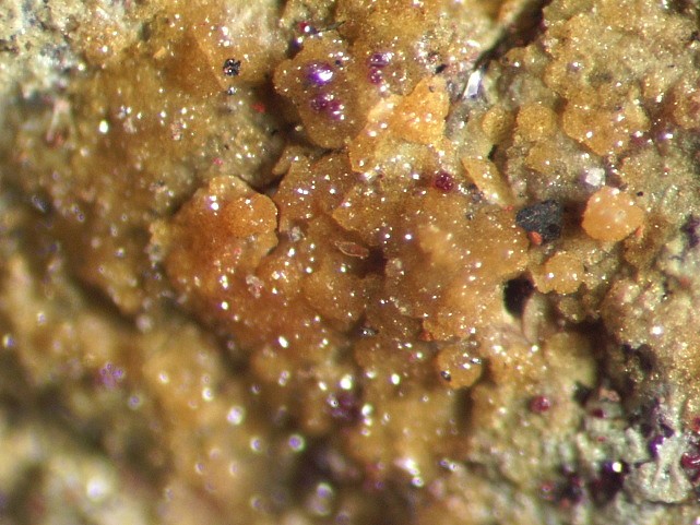 PHARMACOSIDERITE SCORIES.