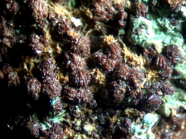PITTICITE ANALYSEE LE 17 11 2011