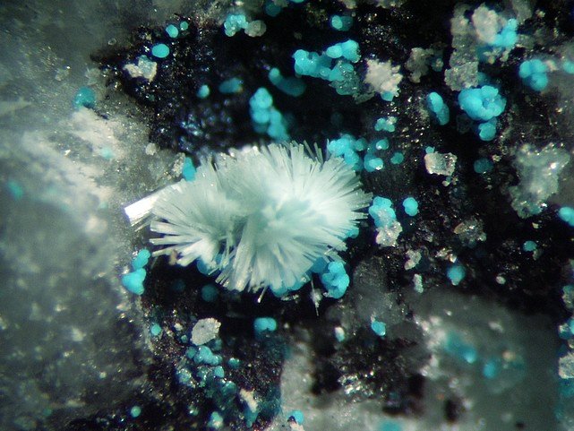PUSCHAROVSKITE.