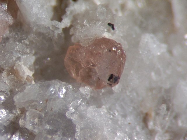 TITANITE ISOLA 2000.